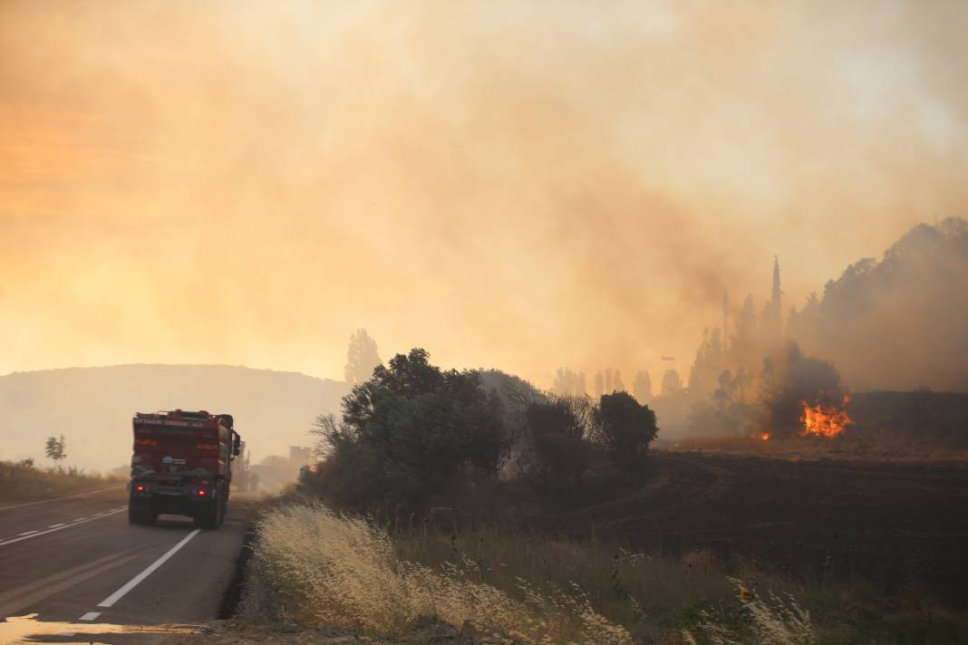 Çanakkale'deki Tarihi Alan'ın güney hattı ziyarete açıldı! Orman yangınında kapatılmıştı - Resim: 59